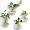 1pcs Wall-Mounted Glass Hanging Planter Set Clear Round Hydroponic Plant Vase for Indoor Home Decor & Small Green Plants