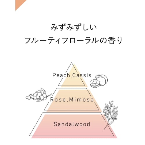 Success 24 Moist Feel Fruity Floral Scent Shampoo 400ml + Conditioner 400ml Set of 1 + Kunutonn original logo bonus included