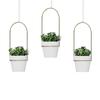1 Set Hanging Plant Pot Wall Plant Hanger Includes Adjustable Metal Rod 3 Planters And Nylon Ropes Flower Pot Hanger