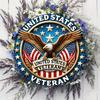 Vintage United States Veteran Eagle Flag Retro Patriotic Design with D Relief Illustration Vibrant Red White Blue Finis