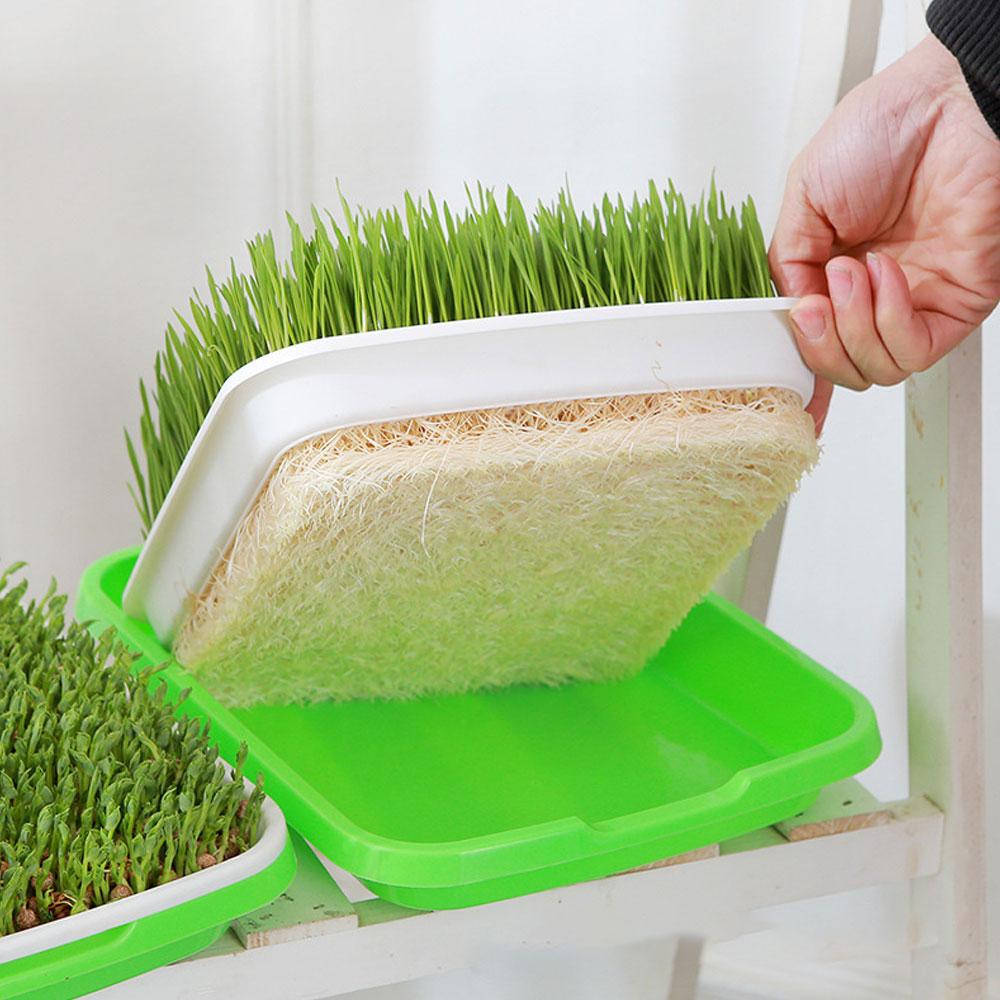 Microgreens Sprouter Tray Hydroponic / Sprouting Tray for Sprout Horticultural Hydroponic Systems Tray Garden Nursery Potted
