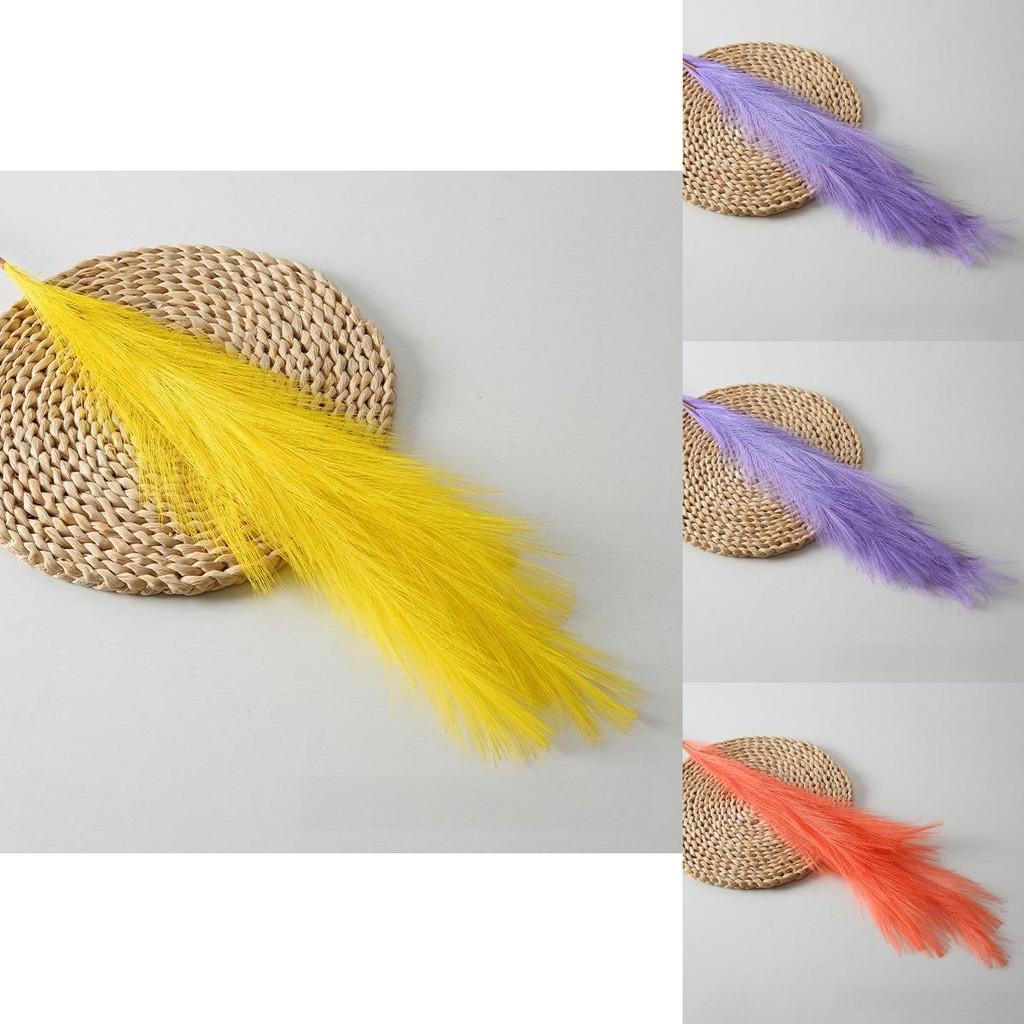Phragmites Australis Artificial For Wedding Decor With Colorful Feathers And Wall Art Display