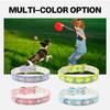 Pet Products Diamond Letters Leash Sequin Decorated Leather Collar