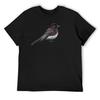 Black Phoebe Bird Flycatcher Songbird Illustration T-Shirt Blanks Short Sleeve Tee Oversized Anime T Shirts for Men