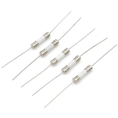 5 Stück 10A 250V Keramikkörper Axialleiter Sicherung Für LCD-TV Usw 5*20Mm