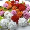Artificial Simulation Melaleuca Chrysanthemum Head Simulation Flower Wedding Decoration Chrysanthemum Marigold Flower Fake Flower Accessories