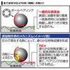 Daiwa REV Ball Bearing Oil