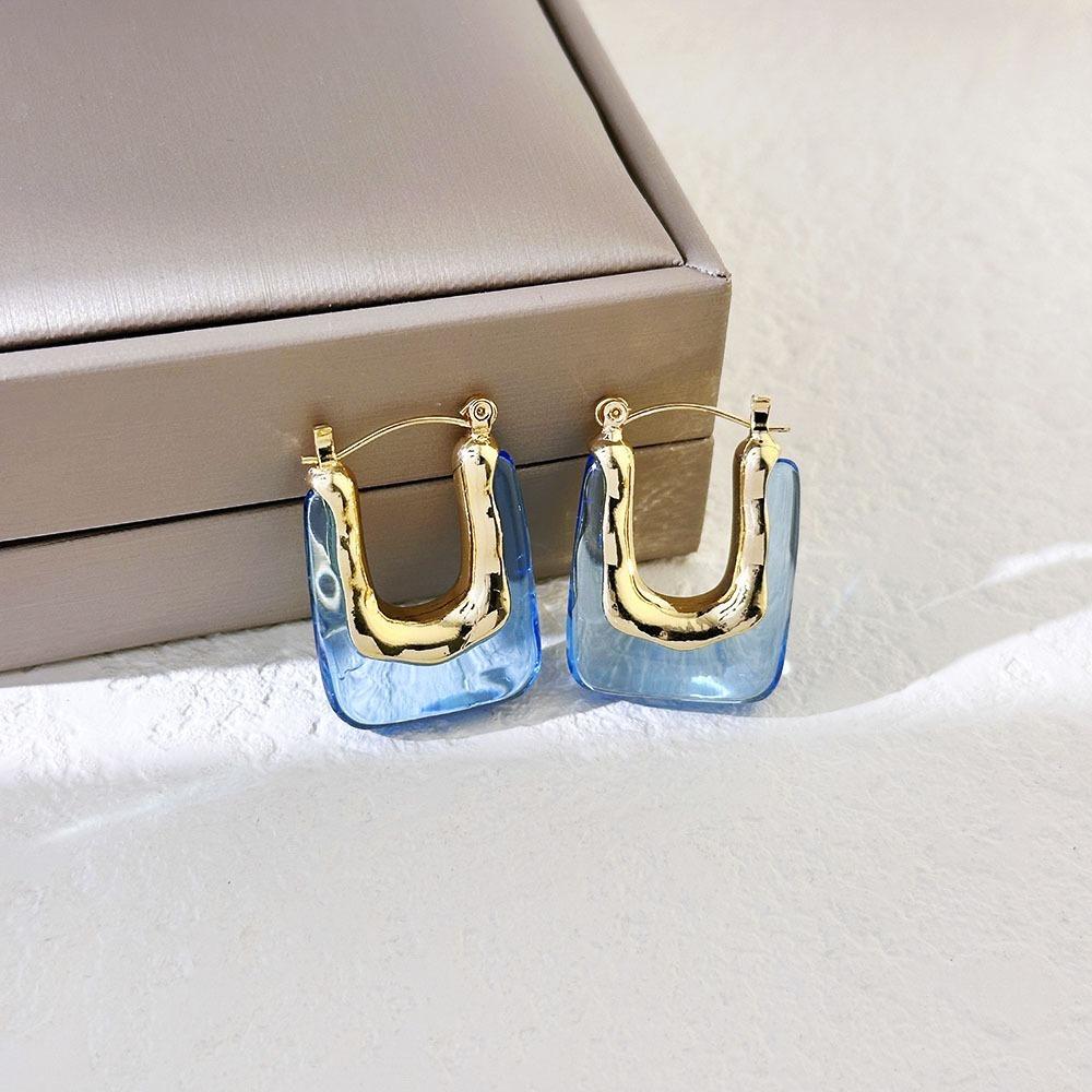 Irregular Shape Resin Earrings Vintage Style Geometric Earrings Ear Buckles  Girls Jewelry
