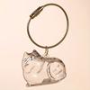 1PC Memorial Pet Fur Storage Pendant Transparent Cat Storage Keychain Cat Hair Preservation Keyring Accessory Cat 5x4cm
