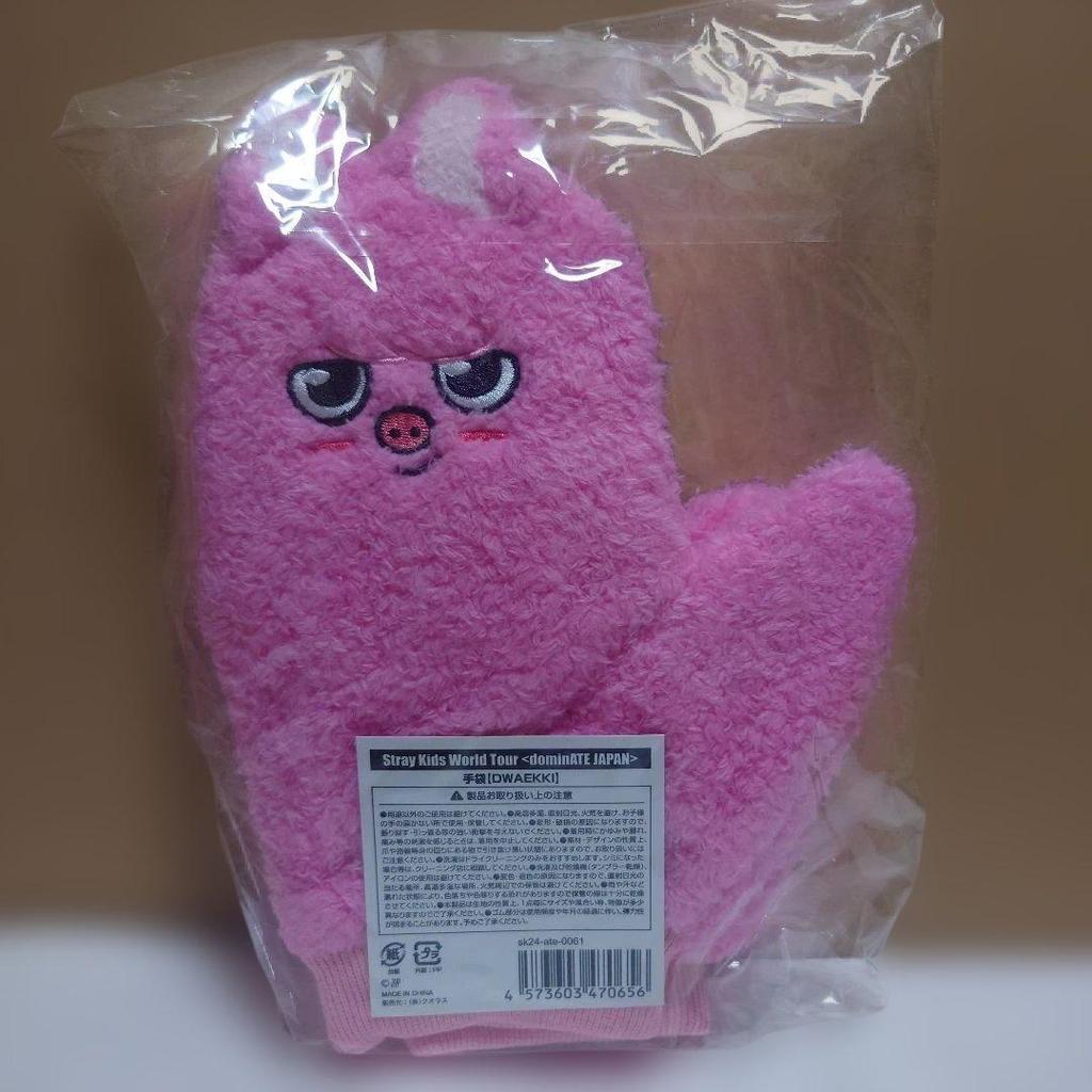 [USED] Stray Kids DWAEKKI Changbin Gloves
