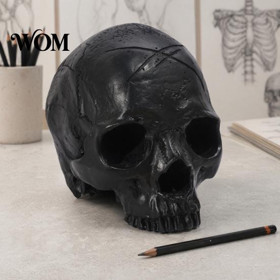 Modello Insegnamento Teschio Ornamento in Resina, Stile Oscuro Prop di Halloween, Decorazione Robusta Multi-Scenario Modello Durevole, Nero Opaco Anatomia Realistica