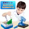 UTST Electrical Experiment Electronic Circuit Kit, Craft Kit for Kids, Science Experiment, Circuit Experiment (Float)