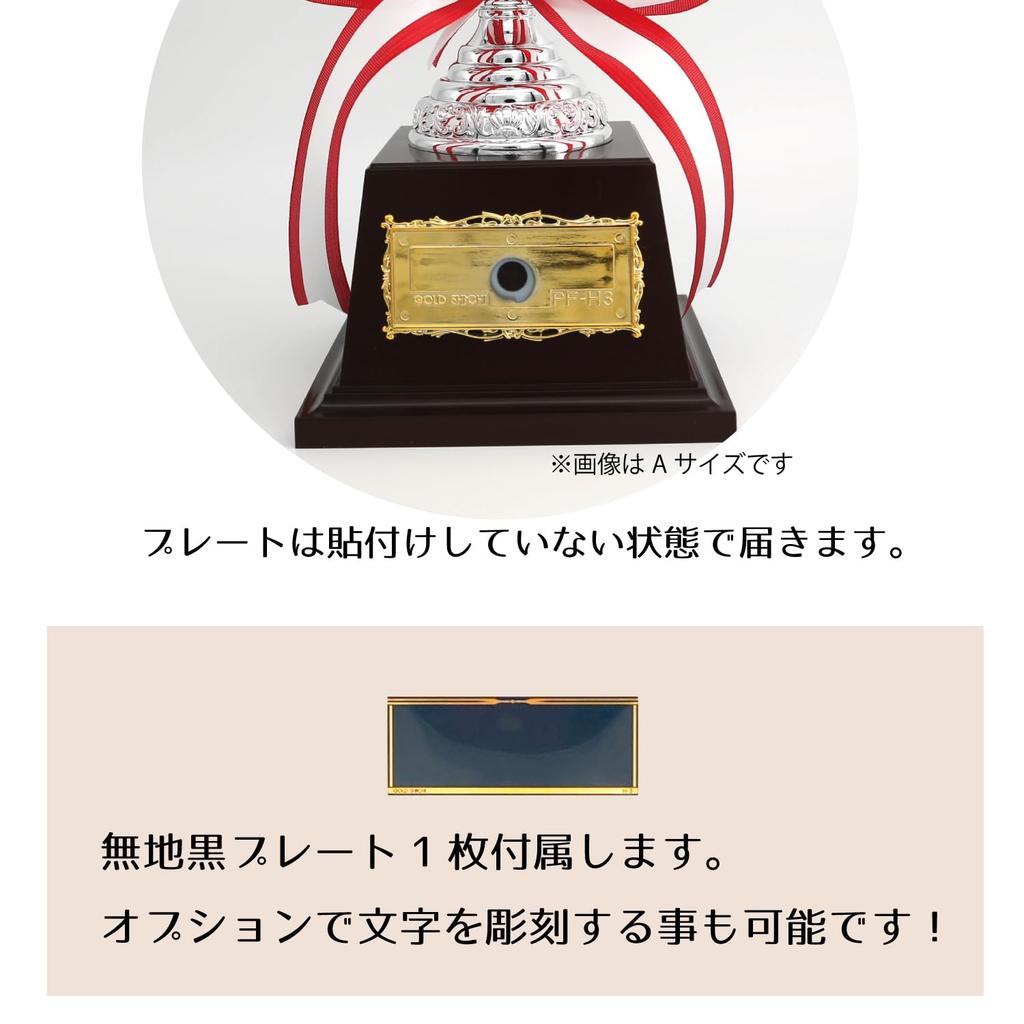 Silver Championship Cup, Metal, with Free Plate Engraving, AS9229, Available in 4 Sizes, Trophy, Award, Prize, Tournament, Souvenir (D Size, 14cm)