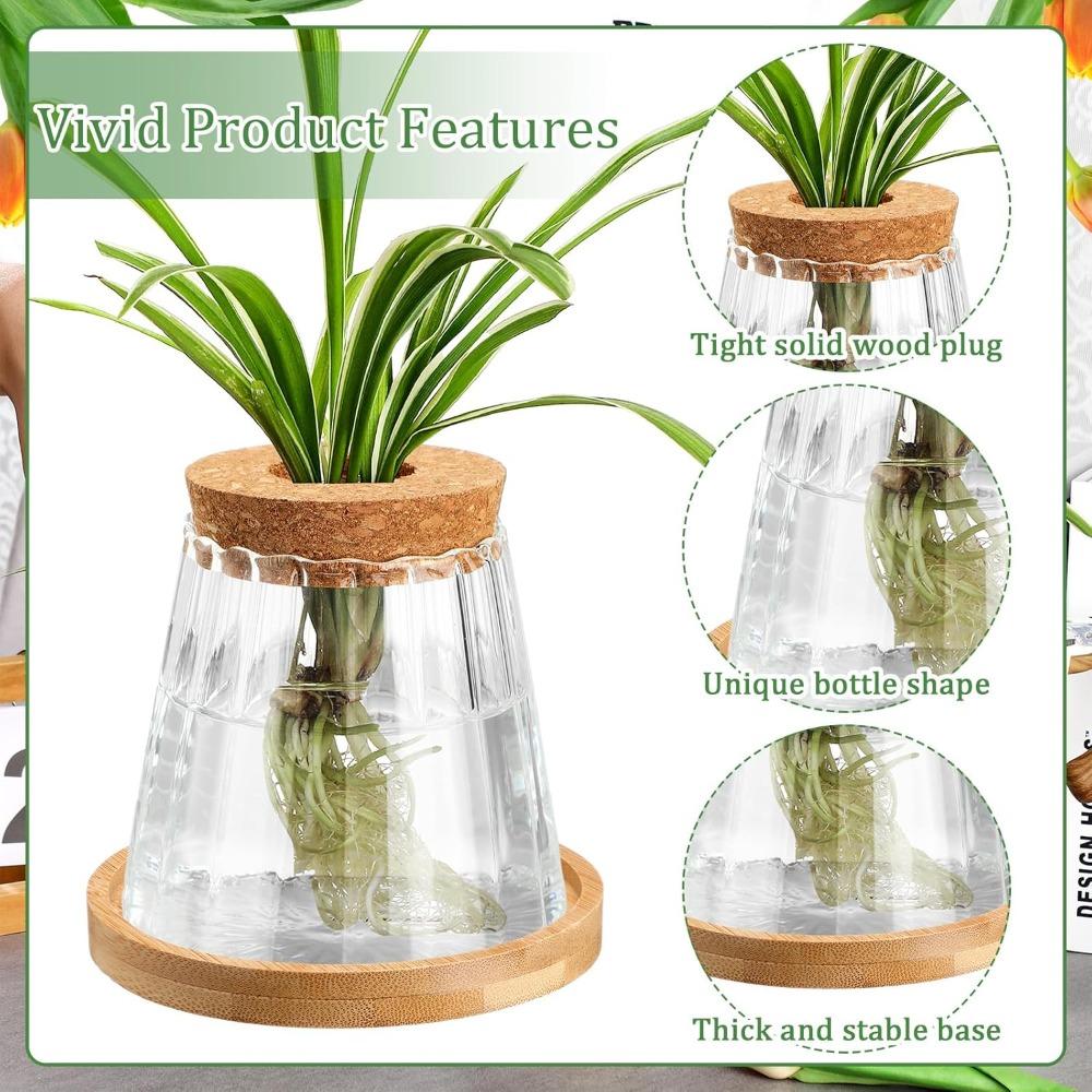 3pcs Plants Propagation Station Separated Desktop Plant Terrarium with Wood Lid and Stand 3 Style Glass Planter Propagated Jars