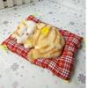 Meowing Lucky Cat Toy – Easter Gift