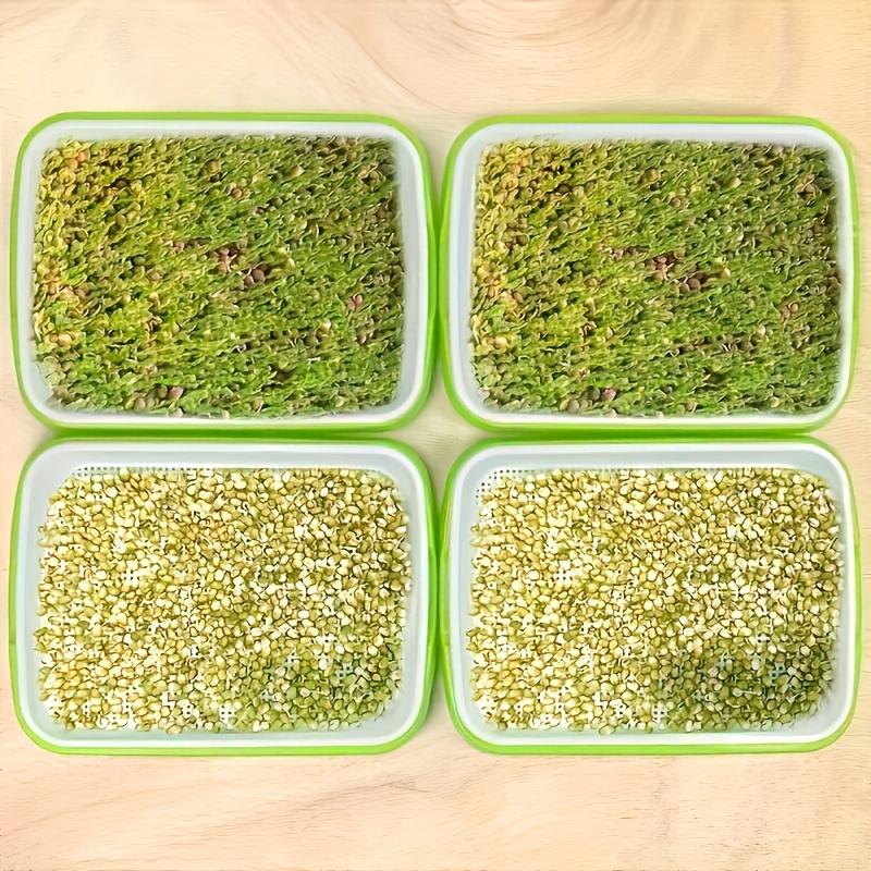Of "Quick Harvest" Seed Germination Kits for Peas, Legumes, Wheat, and Pet Herbs - Hydroponic Germination Trays with Drainage Holes