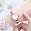 Exquisite Alloy Watch Women'S Simple Temperament Thin Belt Small High-End Quartz Watch