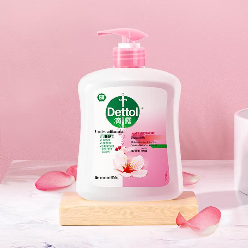 

Dettol Moisturizing Antibacterial Hand Wash (2-Pack)