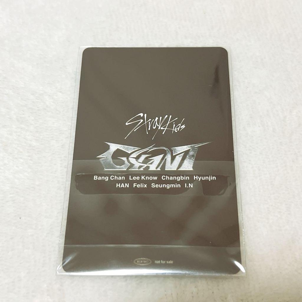 [USED] Stray Kids Seungmin Photo Card GIANT