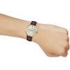 Casio Standard Series Fashion Business Simple Casual Versatile Classic Pointer Roman Scale Gold Large Dial Quartz Movement Leather Strap LTP-VT01GL-9B