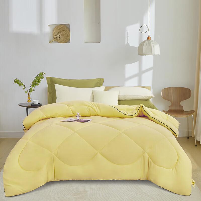 Red Bean All-Season Warm Washed Cotton Comforter