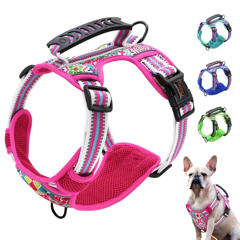 outdoor dog leash hook