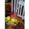 Star Type  Garden Art Light Decoration Outdoor Gardening  Lamp