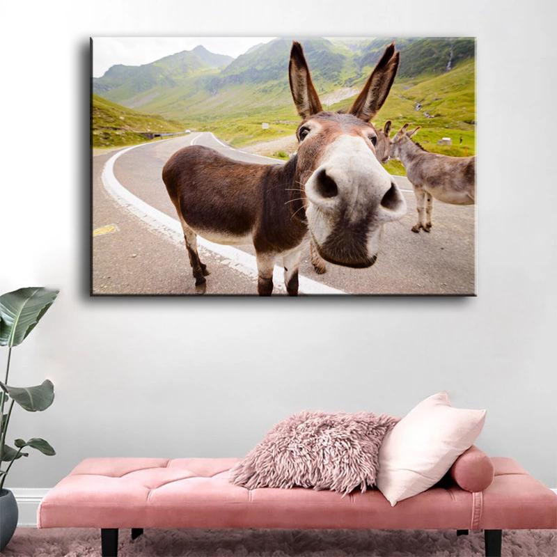 

Животное Искусство Мул Осел Пейзаж Картина Маслом На Холсте Стены Искусства Плакаты Печатает Настенные Панно для Гостиной Домашней Стены Cuadros 21*30cm