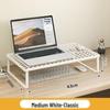 Adjustable Desktop Laptop Cooling Stand