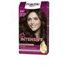 PALETTE INTENSIVE Teinture #4.6-marron 1 U