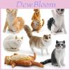 Realistic Short-haired Cat Figurine Maine Coon Ragdoll Cat Models In Seven Varieties