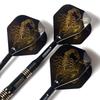 CUESOUL Black Scorpion Deluxe Steel Tip Darts Set, 20g F2002-L