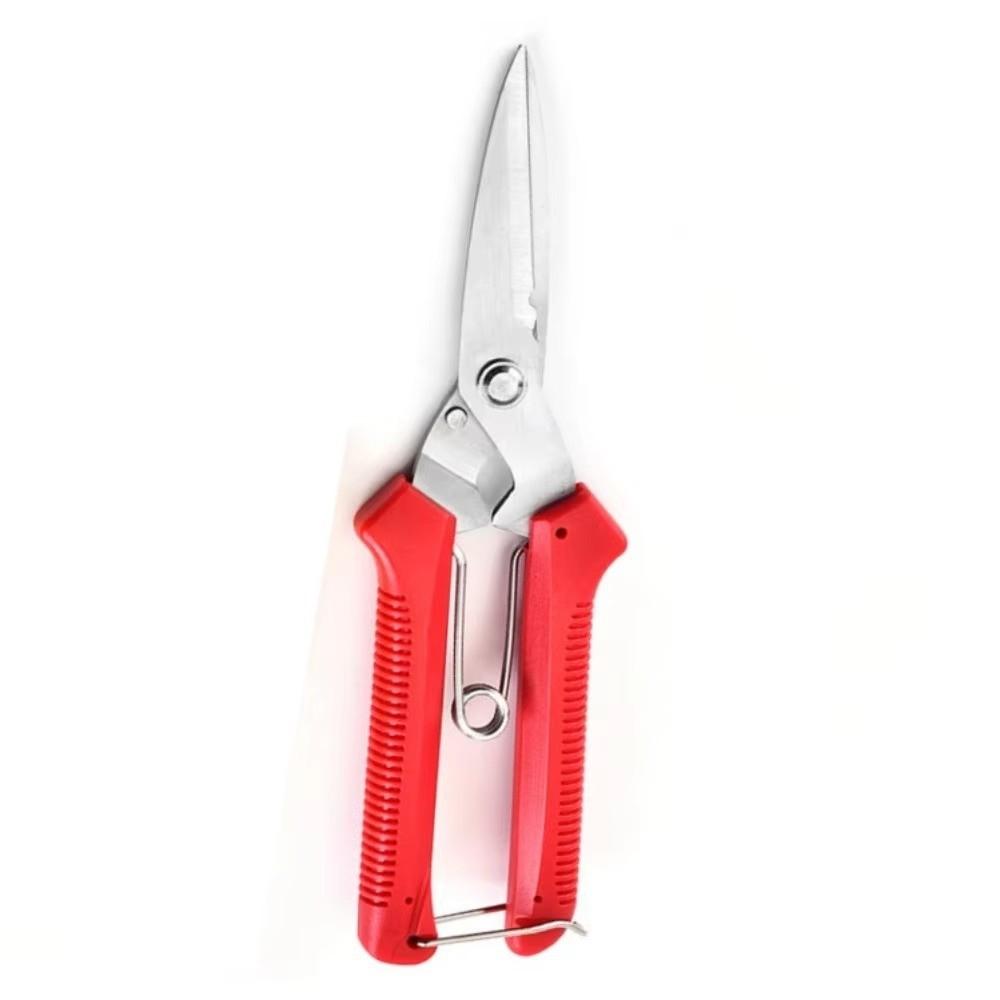 Stainless Steel Gardening Pruning Shears Precision Cutting Hand Pruner Branch Shears  Fruit Tree