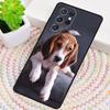 Beagle Puppy Dog print Phone Case for Samsung Galaxy note 10 pro S26 Ultra S23 S24 FE S25 S21 S22 PLUS shockproof Cove
