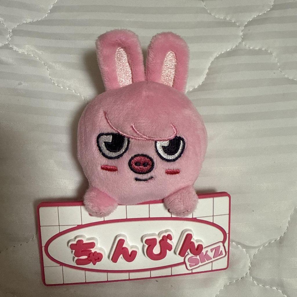 [USED] Straykids Name Bag Charm Toekki