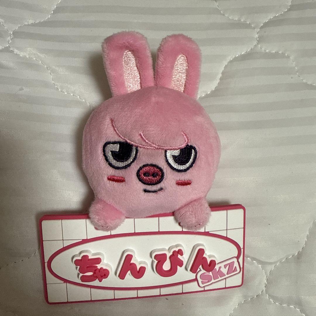 

[Б/У] брелок для сумки с именем straykids Токки