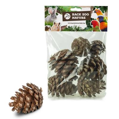 Pinecones - Naturally Dried For Parrots 6 Pcs