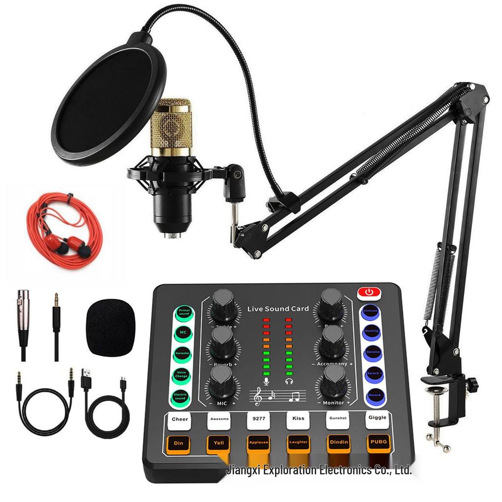 "BM800 Live Sound Card Set: English Version, V8s Compatible with Podcasts & Platforms"