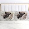 Cute Plush Pet Cats 3D Printed Bedding Set Simple Pet Cat Style Luxury Duvet Cover Soft Comfortable Home Polyester Quilt Cover