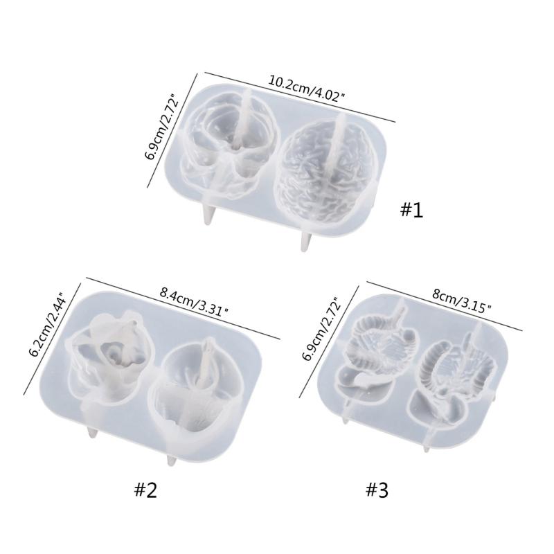 Human Organs Shape Silicone Molds Heart Brain Resin Epoxy Mold Cupcake