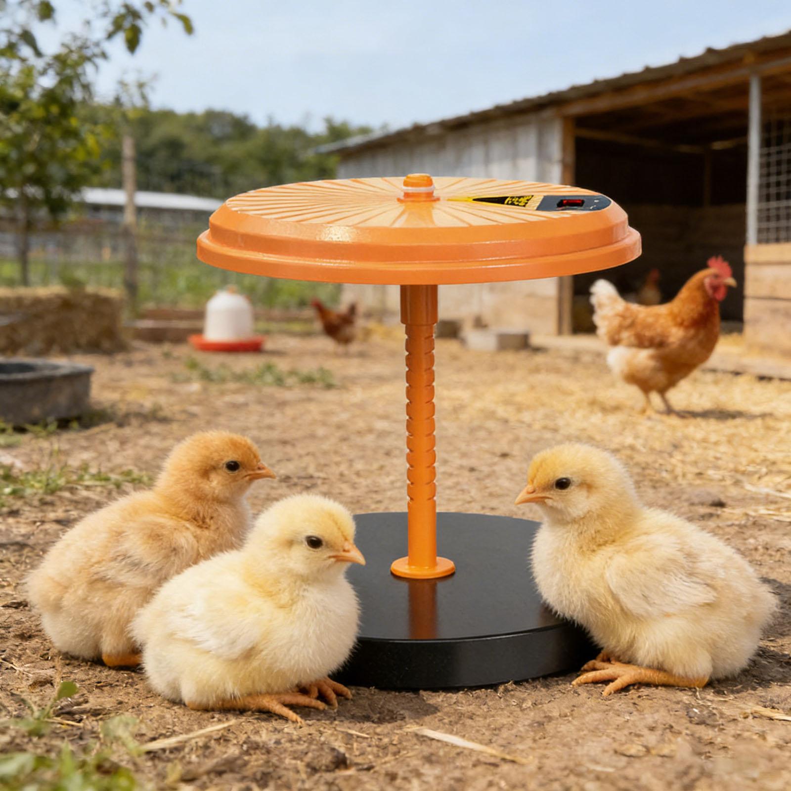 Chick Brooder Heating Plate with Temperature Control Egg Incubator Chick Heat Plate for Hatch Chicken Duck Quail Pigeon Pheasant China Mainland