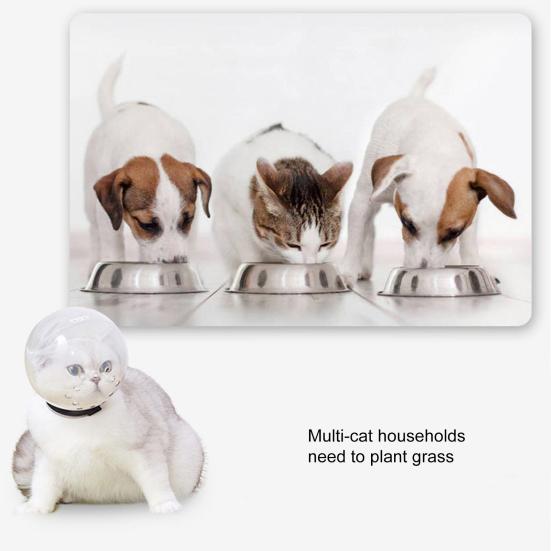 Katzenhaube, Space Ball, Big Vision, atmungsaktiv, für Bad, Fellpflege, hohles Befestigungsband, Anti-Leck-Kunststoff