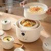 Joyoung Electric Stew Pot & Steamer CN plug (adapter included)
