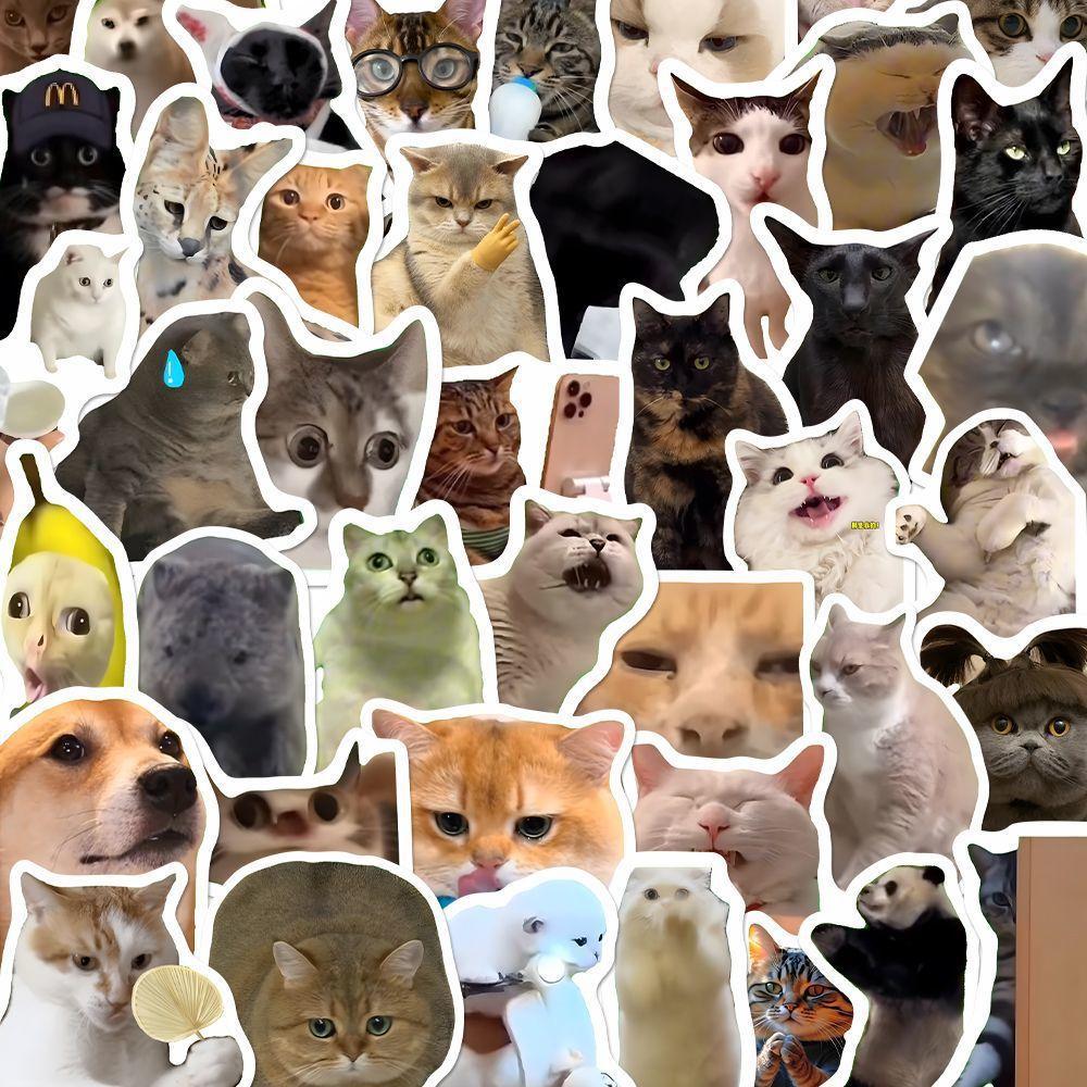Cute Funny Cat Meme Cartoon Stickers Waterproof DIY Decoration Laptops Water Bottles Phones Cute Animal Decals Toys Gifts