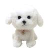 SUN LEMON Bichon Frise Plush Size S Pups! Toy,