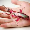 Orchid Mantis 3D Metal Puzzle Diy Handmade Animal Insect Assembly Model Building Blocks Jigsaw Puzzle Toys