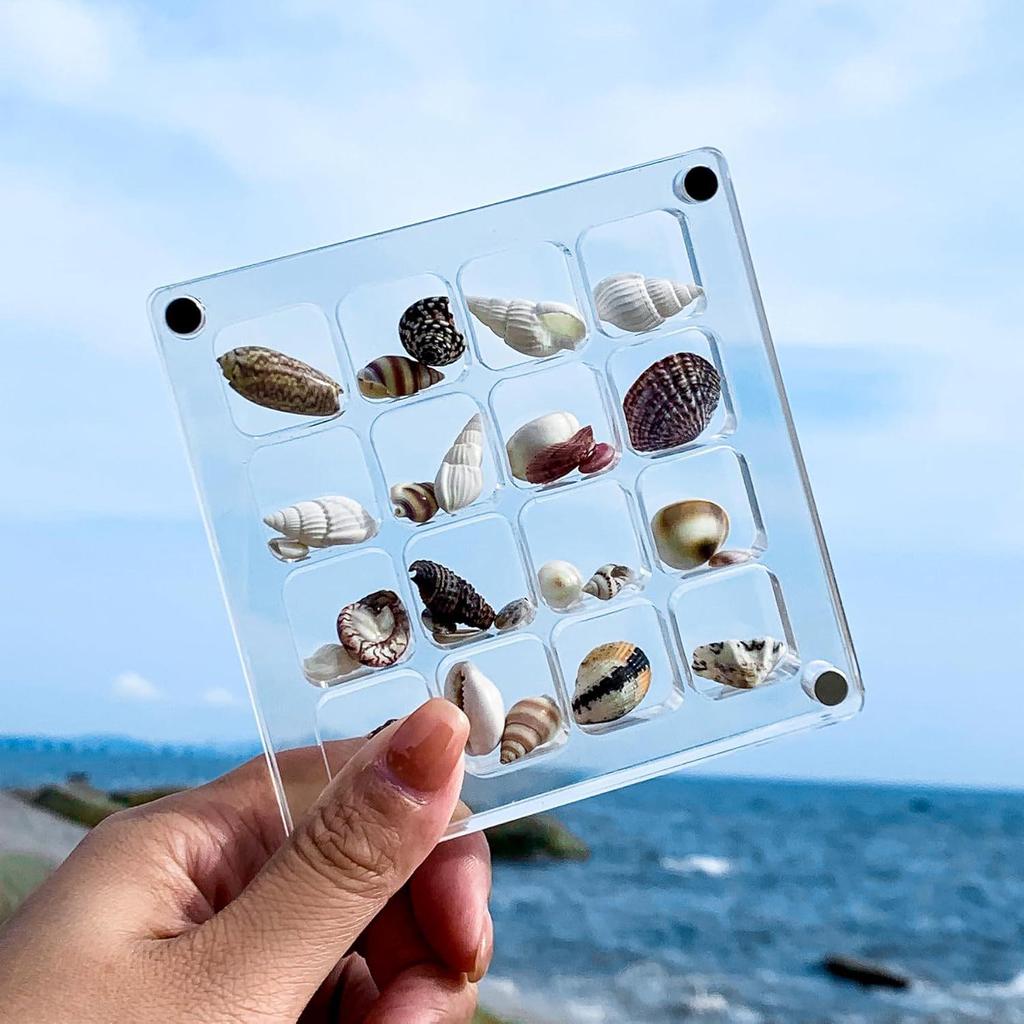 16-Grid Transparent Seashell Storage Box: Magnetic Acrylic Display for Jewelry and Beach Stone Specimens