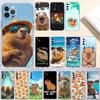 Huse pentru telefoane – Huse tip bumper pentru telefon