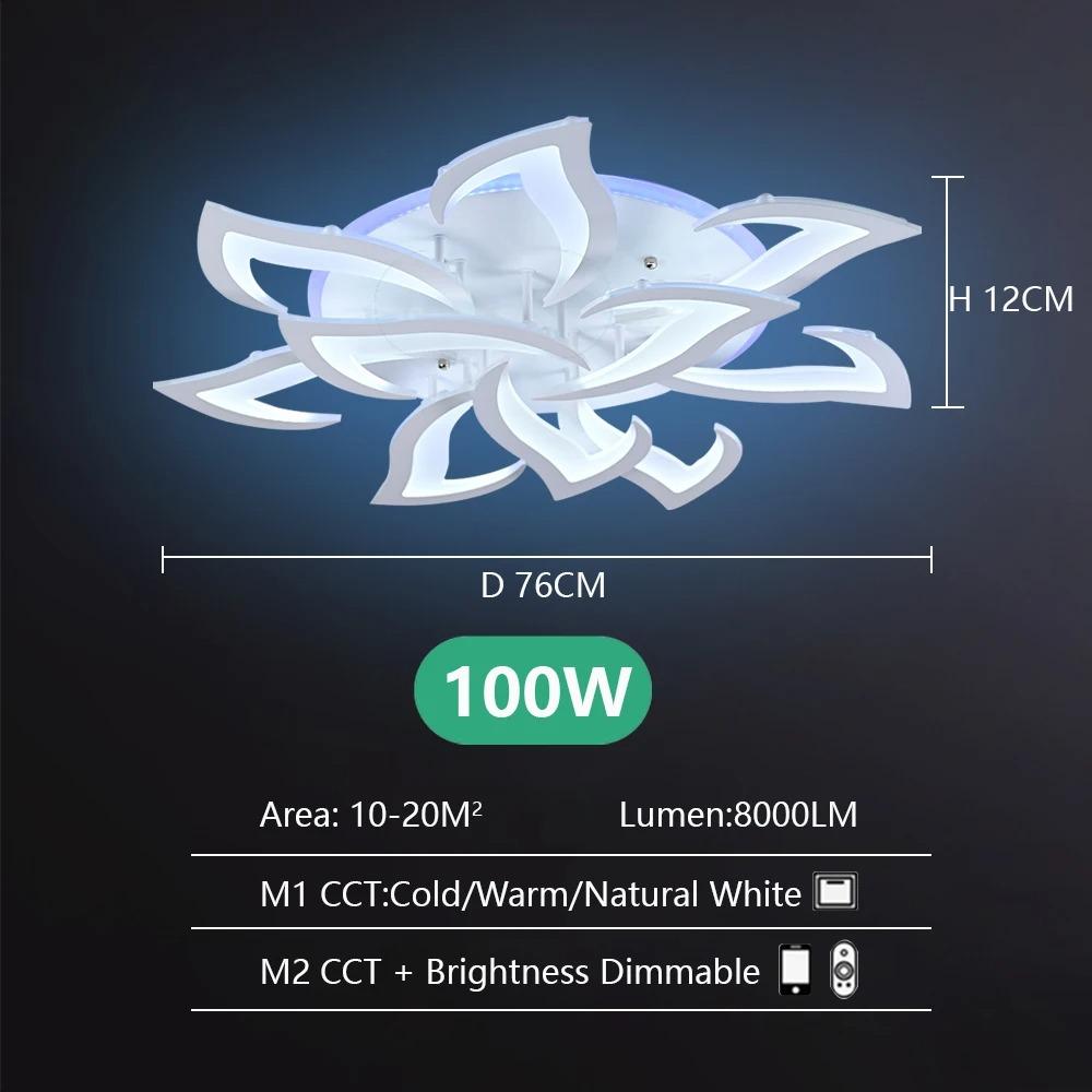 RALAN LED Ceiling chandelier Decorative Art Lighting lustre Fixture App Control Living Room Bedroom ceiling pendant lamps