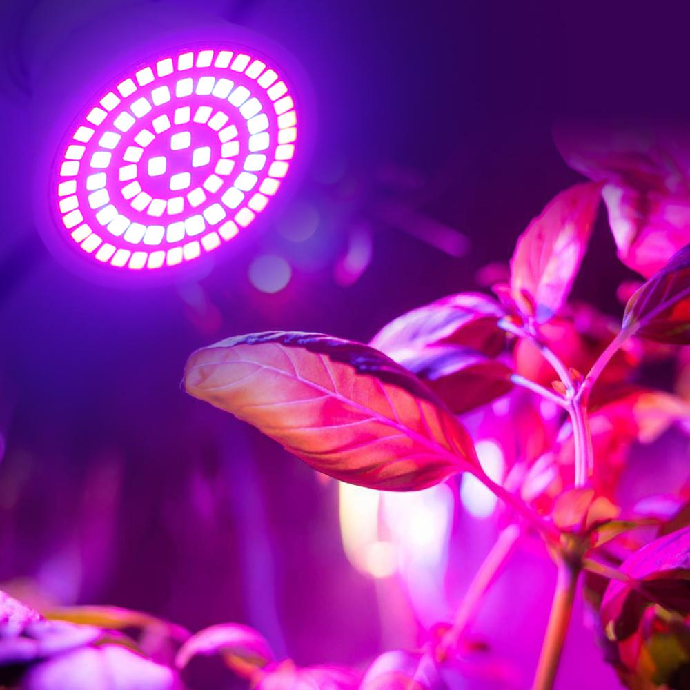 Led Grow Bulb 220V E27 60 80LEDs Full Spectrum LED Plant Greenhouse Hydroponic Growth Light Indoor Plant Phyto Flower Lamp